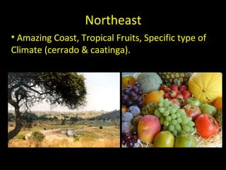 Northeast
• Amazing Coast, Tropical Fruits, Specific type of
Climate (cerrado & caatinga).
 