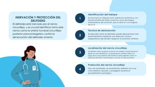 1
2
3
4
INERVACIÓN Y PROTECCIÓN DEL
DELTOIDES
El deltoides está inervado por el nervio
circunflejo, y es crucial identificar tanto este
nervio como la arteria humeral circunfleja
posterior para protegerlos y evitar la
denervación del deltoides anterior.
Se menciona un tabique como referencia anatómica, una
banda amarilla de tejido conjuntivo cerca del ángulo
anteroexterno del acromion, que se abre en una longitud
de 6 cm.
Identificación del tabique
Se describe cómo el deltoides puede desinsertarse más
proximalmente mediante una disección incisiva
subperióstica del tendón respecto al acromion anterior.
Técnica de desinserción
Se detalla cómo localizar el nervio circunflejo introduciendo el
dedo en una hendidura y avanzando en sentido distal a lo
largo de la cara externa del húmero hasta palparlo como un
fascículo de fibras transversales a unos 8 cm del acromion.
Localización del nervio circunflejo
Una vez localizado, se recomienda rodearlo con una
cinta elástica vascular y protegerlo durante el
procedimiento quirúrgico.
Protección del nervio circunflejo
 