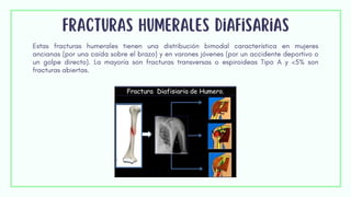 fracturas humerales diafisarias
Estas fracturas humerales tienen una distribución bimodal característica en mujeres
ancianas (por una caída sobre el brazo) y en varones jóvenes (por un accidente deportivo o
un golpe directo). La mayoría son fracturas transversas o espiroideas Tipo A y <5% son
fracturas abiertas.
 