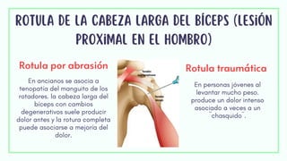 rotula de la cabeza larga del bíceps (lesión
proximal en el hombro)
Rotula por abrasión Rotula traumática
En ancianos se asocia a
tenopatía del manguito de los
rotadores. la cabeza larga del
bíceps con cambios
degenerativos suele producir
dolor antes y la rotura completa
puede asociarse a mejoría del
dolor.
En personas jóvenes al
levantar mucho peso.
produce un dolor intenso
asociado a veces a un
´´chasquido´´.
 