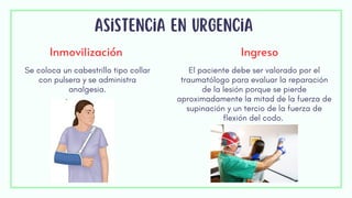 Asistencia en urgencia
Inmovilización Ingreso
Se coloca un cabestrillo tipo collar
con pulsera y se administra
analgesia.
El paciente debe ser valorado por el
traumatólogo para evaluar la reparación
de la lesión porque se pierde
aproximadamente la mitad de la fuerza de
supinación y un tercio de la fuerza de
flexión del codo.
 
