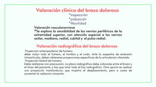 Valoración clínica del brazo doloroso
*Inspección
*palpación
*Movilidad
Valoración vasculonerviosa
*Se explora la sensibilidad de los nervios periféricos de la
extremidad superior, con atención especial a los nervios
axilar, mediano, radial, cubital y el pulso radial.
Valoración radiográfica del brazo doloroso
Proyección anteroposterior de húmero:
debe incluir todo el húmero, el hombro y el codo. Ante la sospecha de extensión
intraarticular, deben obtenerse proyecciones específicas de la articulación afectada.
Proyección lateral de húmero:
Debe realizarse con precaución. La placa radiográfica debe colocarse entre el brazo y
el tórax del paciente, y hay que rotar todo el haz radiográfico. Otra opción es realizar
una proyección transtorácica, que muestra el desplazamiento, pero a costa de
aumentar la radiación ionizante.
 