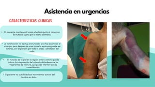 CARACTERISTICAS CLINICAS
El paciente mantiene el brazo afectado junto al tórax con
la muñeca sujeta por la mano contraria.
Asistencia en urgencias
La tumefacción no es muy pronunciada y no hay equimosis al
principio, pero después de unas horas la equimosis puede ser
extensa, con expansión por todo el brazo y alrededor del
codo.
El fruncido de la piel en la región antero-externa puede
indicar la interposición del músculo deltoides entre los
fragmentos de fractura, que puede interferir con la
consolidación.
* El paciente no puede realizar movimientos activos del
hombro sin dolor.
 