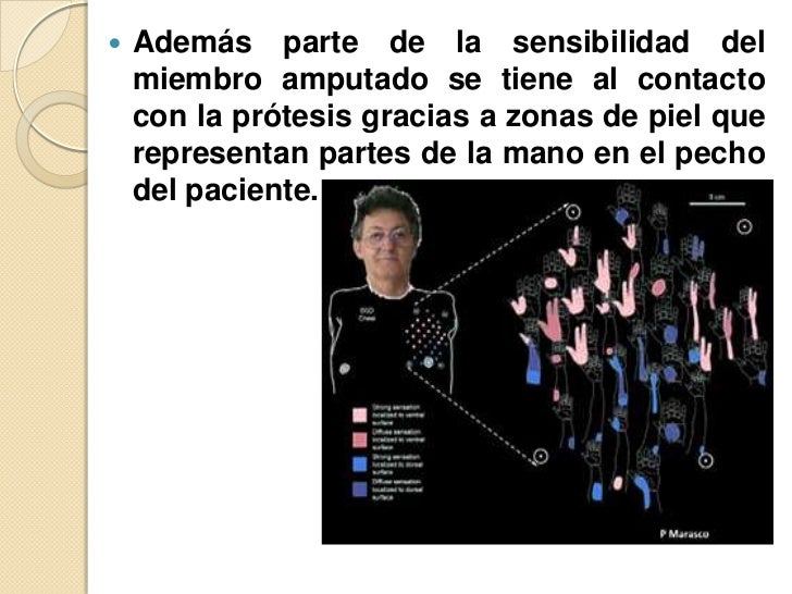 Aumentar el pecho en gimp