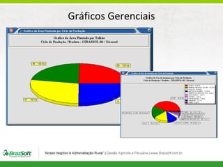 Gráficos Gerenciais

 