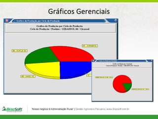 Gráficos Gerenciais

 