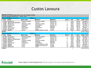 Custos Lavoura

 