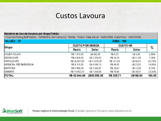 Custos Lavoura

 