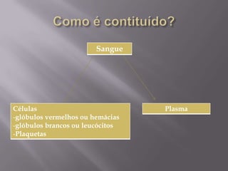 Como é contituído?