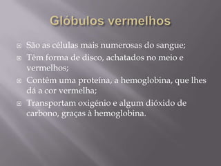 Glóbulos vermelhos São as células mais numerosas do sangue;Têm forma de disco, achatados no meio e vermelhos;Contêm uma proteína, a hemoglobina, que lhes dá a cor vermelha;Transportam oxigénio e algum dióxido de carbono, graças à hemoglobina. 