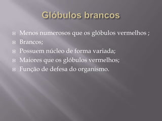 Glóbulos brancosMenos numerosos que os glóbulos vermelhos ;Brancos;Possuem núcleo de forma variada;Maiores que os glóbulos vermelhos;Função de defesa do organismo.