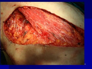 Friday, October 27, 2023 114
 