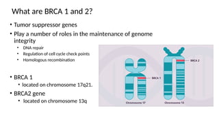 brca syndrome(HBOC) panel discussion slides | PPTX