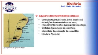 Estabelecimento da colonização: