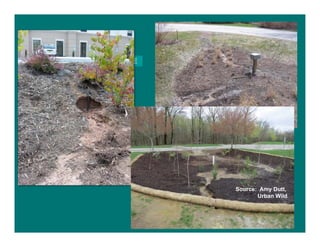 Source: Brad Wardynski, NCSU-BAE
Source: Amy Dutt,
Urban Wild
 