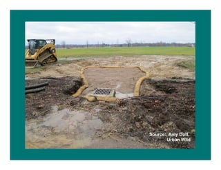 Source: Amy Dutt,
Urban Wild
 