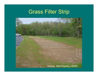 Source: Matt Repasky, ODNR
Grass Filter Strip
 