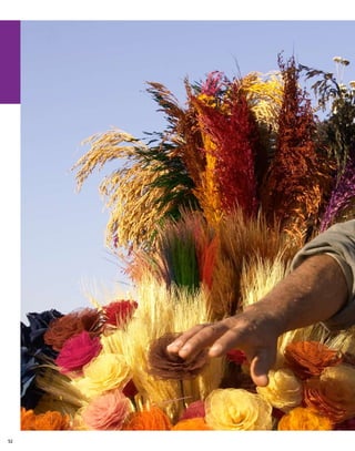 Flores do cerrado | Helio Luiz da Rocha Oliveira
                                                   53
 