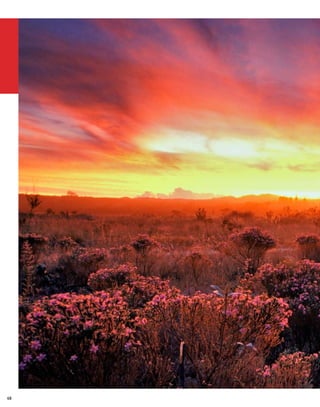 Chapada dos Veadeiros | Ademar José Cabral
                                             69
 