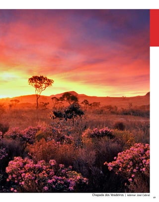 Ponte JK | Must Marketing
70
 