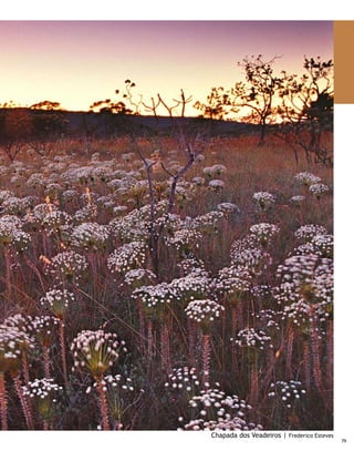 GASTRONOMIA | GASTRONOMY




     Restaurante Ichiban | Banco de imagens Stock.XCHNG




80
 