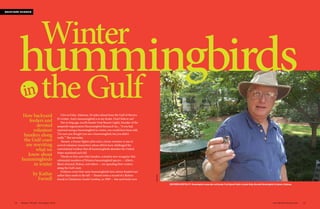 WilliamWhite
	 www.BirdersWorld.com	 1918 	 Birder’s World • December 2010
I live in Foley, Alabama, 10 miles inland from the Gulf of Mexico.
It’s winter. And a hummingbird is at my feeder. Don’t believe me?
Not so long ago, recalls bander Fred Bassett (right), founder of the
nonprofit organization Hummingbird Research Inc., “if you had
reported seeing a hummingbird in winter, you would have been told,
‘I’m sure you thought you saw a hummingbird, but you didn’t
really.’ ” But not today.
Bassett, a former fighter pilot and a citizen-scientist, is one of
­several volunteer researchers whose efforts have challenged the
conventional wisdom that all hummingbirds abandon the United
States mainland each fall.
Thanks to him and other banders, scientists now recognize that
substantial numbers of Western hummingbird species — Allen’s,
Black-chinned, Rufous, and others — are spending their winters
along the Gulf coast.
Evidence exists that some hummingbirds have always headed east
rather than south in the fall — Bassett notes a record of a Rufous
found in Charleston, South Carolina, in 1909 — but such birds were
BACKYARD SCIENCE
How backyard
feeders and
devoted
volunteer
banders along
the Gulf coast
are rewriting
what we
know about
hummingbirds
in winter
by Kathie
Farnell
Winter
theGulf
hummingbirdsin
SOUTHERN HOSPITALITY: Hummingbird researcher and bander Fred Bassett holds a female Ruby-throated Hummingbird in Auburn, Alabama.
 