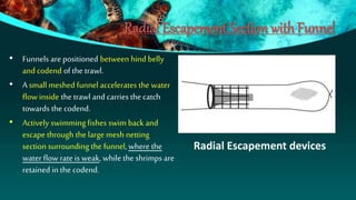 Fish Bycatch Reduction Devices | PPTX