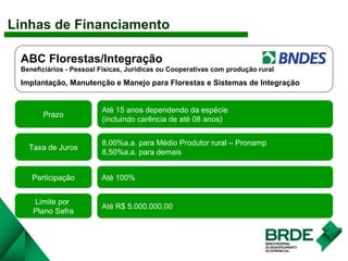 ABC Florestas/Integração
Beneficiários - Pessoal Físicas, Jurídicas ou Cooperativas com produção rural
Implantação, Manutenção e Manejo para Florestas e Sistemas de Integração
Prazo
Até 15 anos dependendo da espécie
(incluindo carência de até 08 anos)
Taxa de Juros
8,00%a.a. para Médio Produtor rural – Pronamp
8,50%a.a. para demais
Participação Até 100%
Linhas de Financiamento
Limite por
Plano Safra
Até R$ 5.000.000,00
 