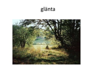 glänta
 