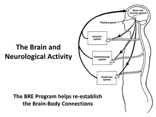 The BRE Program helps re-establish
the Brain-Body Connections
The Brain and
Neurological Activity
 