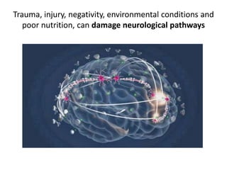 Trauma, injury, negativity, environmental conditions and
poor nutrition, can damage neurological pathways
 