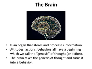 The Brain
• Is an organ that stores and processes information.
• Attitudes, actions, behaviors all have a beginning
which we call the “genesis” of thought (or action).
• The brain takes the genesis of thought and turns it
into a behavior.
 