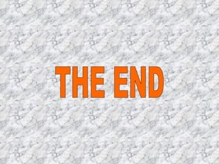 THE END 