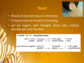 Yeast
• Strain of Saccharomyces cerevisiae
• Primary role in bread is leavening
• act on sugars and changes them into carbon
dioxide gas and alcohol.
 