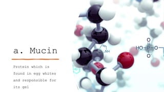 a. Mucin
Protein which is
found in egg whites
and responsible for
its gel
 