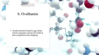 b. Ovalbumin
• Another protein found in egg whites
which coagulates and involve both in
heat coagulation and whipping.
 
