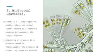 2. Biological
Leaveners.
• Yeast is a living organism,
neither plant nor animal.
Yeasts belong to a separate
kingdom in taxonomy, the
fungus kingdom.
• Leavening with yeast is a
process based on
fermentation, the process of
converting sugar to alcohol
 