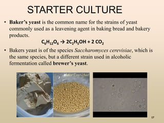 17
STARTER CULTURE
• Baker’s yeast is the common name for the strains of yeast
commonly used as a leavening agent in baking bread and bakery
products.
C6H12O6 → 2C2H5OH + 2 CO2
• Bakers yeast is of the species Saccharomyces cerevisiae, which is
the same species, but a different strain used in alcoholic
fermentation called brewer’s yeast.
 