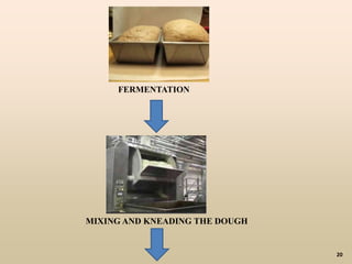 20
MIXING AND KNEADING THE DOUGH
FERMENTATION
 
