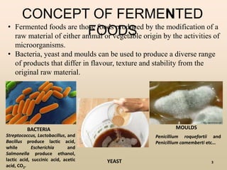 CONCEPT OF FERMENTED
FOODS• Fermented foods are those foods produced by the modification of a
raw material of either animal or vegetable origin by the activities of
microorganisms.
• Bacteria, yeast and moulds can be used to produce a diverse range
of products that differ in flavour, texture and stability from the
original raw material.
BACTERIA
YEAST
MOULDS
Streptococcus, Lactobacillus, and
Bacillus produce lactic acid,
while Escherichia and
Salmonella produce ethanol,
lactic acid, succinic acid, acetic
acid, CO2.
Penicillium roquefortii and
Penicillium camemberti etc…
3
 