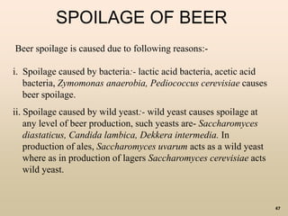 47
Beer spoilage is caused due to following reasons:-
i. Spoilage caused by bacteria:- lactic acid bacteria, acetic acid
bacteria, Zymomonas anaerobia, Pediococcus cerevisiae causes
beer spoilage.
ii. Spoilage caused by wild yeast:- wild yeast causes spoilage at
any level of beer production, such yeasts are- Saccharomyces
diastaticus, Candida lambica, Dekkera intermedia. In
production of ales, Saccharomyces uvarum acts as a wild yeast
where as in production of lagers Saccharomyces cerevisiae acts
wild yeast.
SPOILAGE OF BEER
 