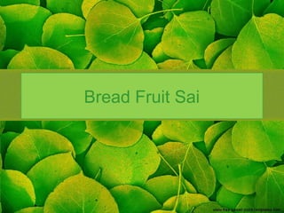 Bread Fruit Sai
 