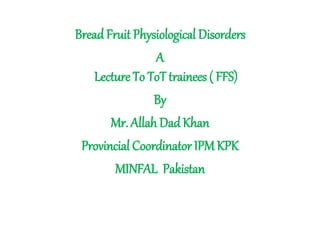 Bread Fruit Physiological Disorders
A
Lecture To ToT trainees ( FFS)
By
Mr. Allah DadKhan
Provincial Coordinator IPM KPK
MINFAL Pakistan