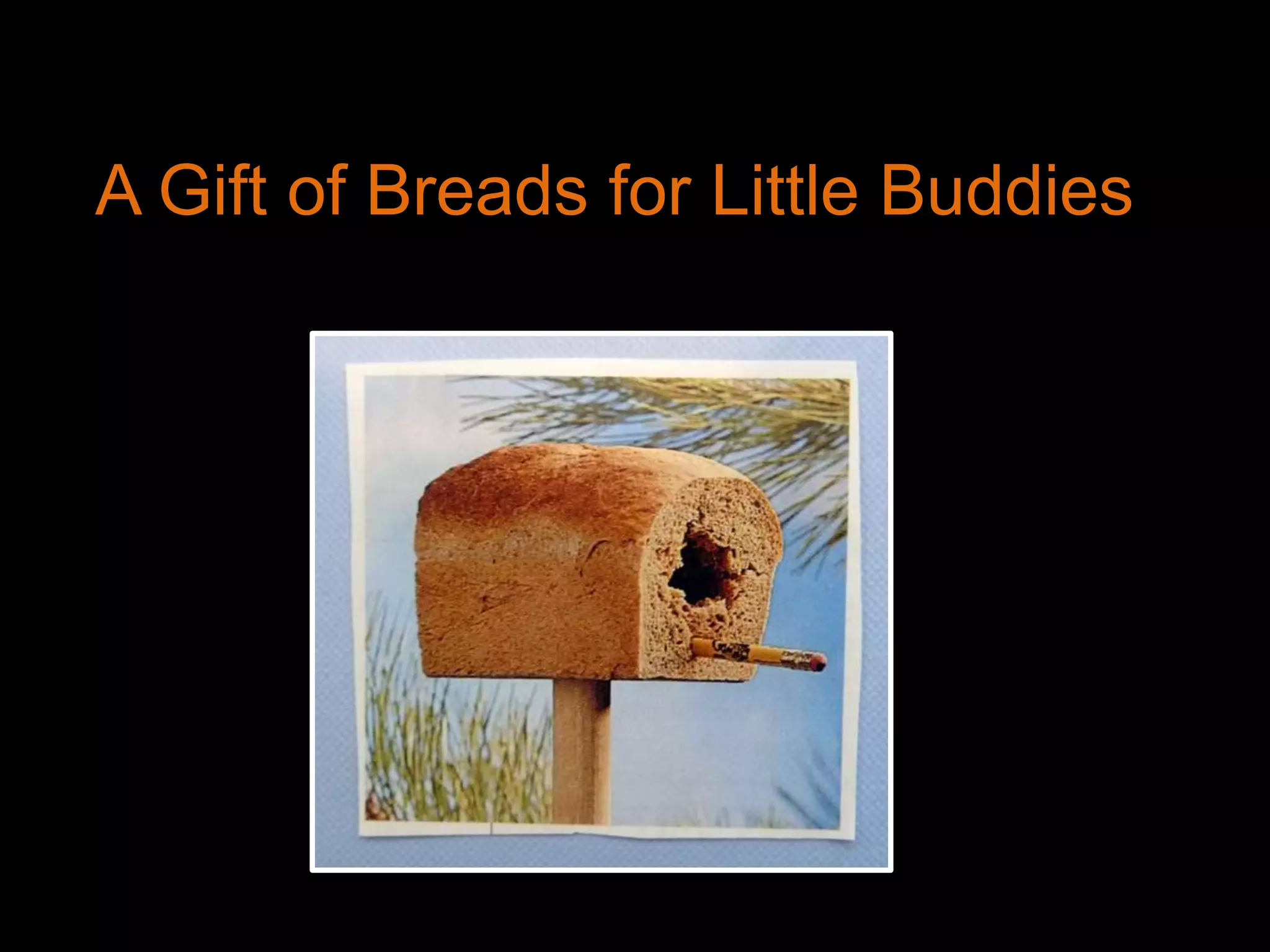 A Gift of Breads for Little Buddies
 