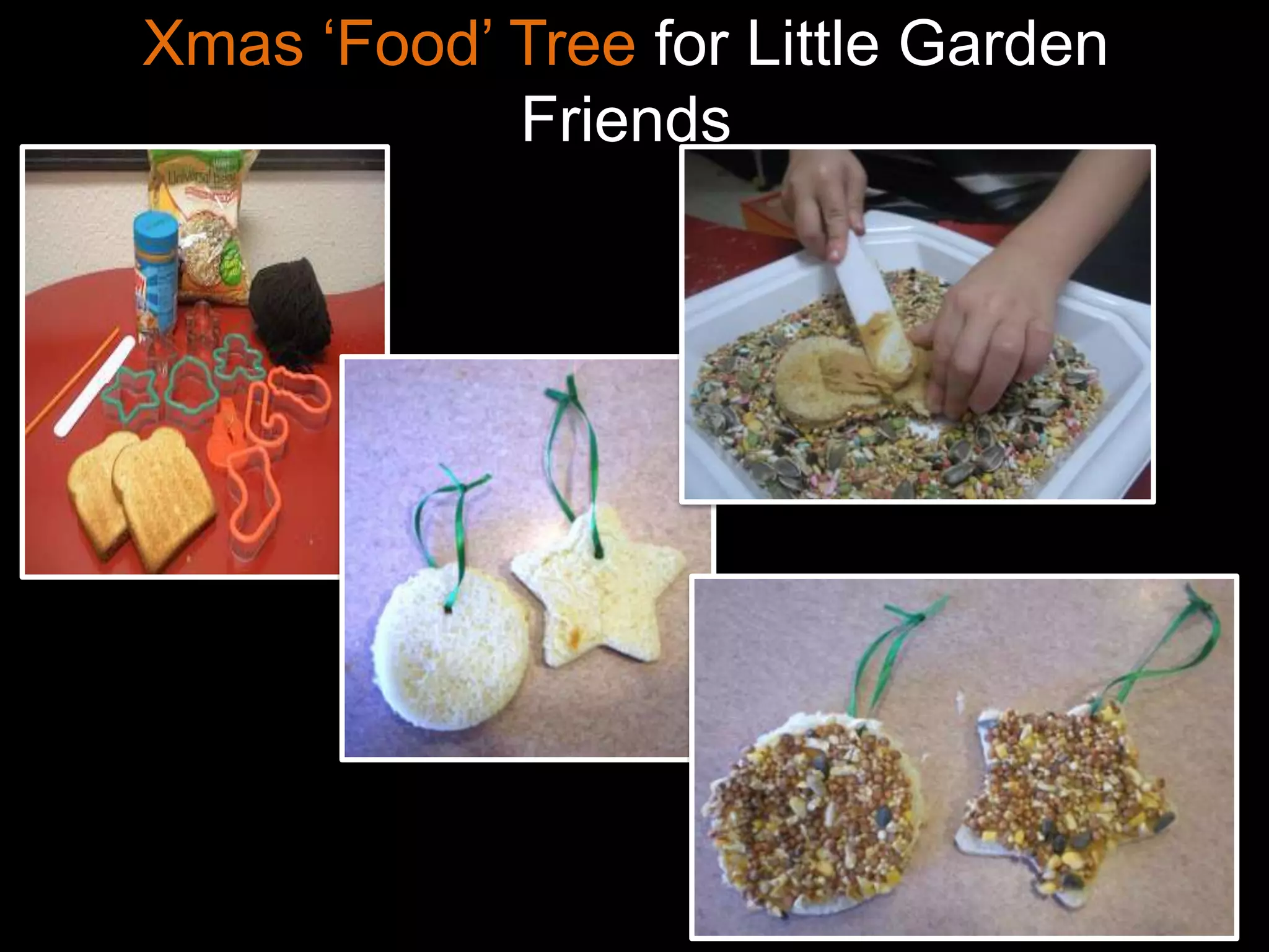 Xmas „Food‟ Tree for Little Garden
            Friends
 