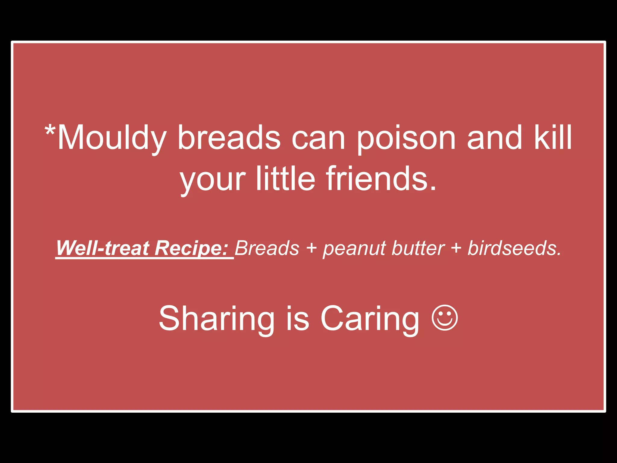 *Mouldy breads can poison and kill
        your little friends.
Well-treat Recipe: Breads + peanut butter + birdseeds.


          Sharing is Caring 
 