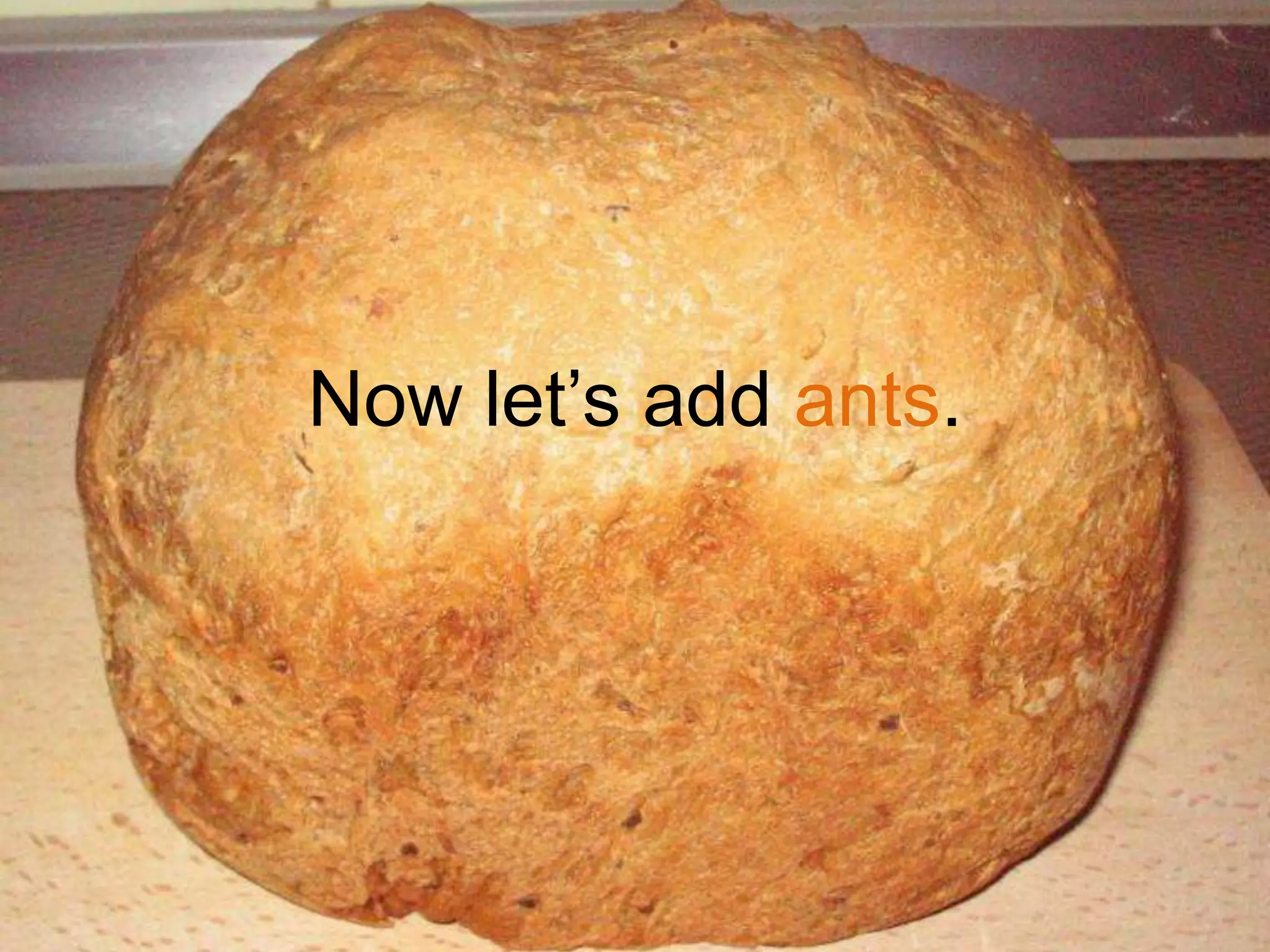 Now let‟s add ants.
 