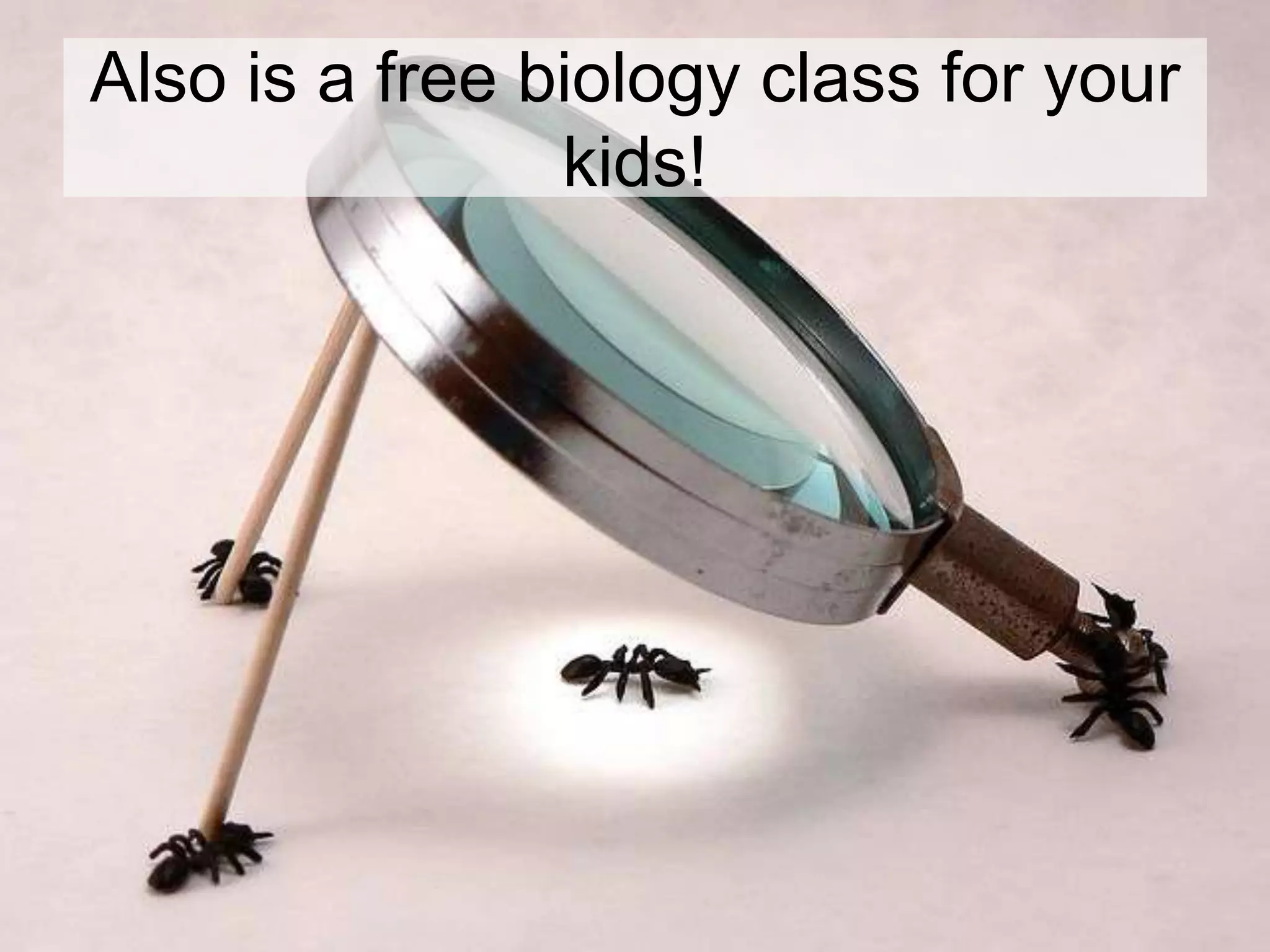 Also is a free biology class for your
                kids!
 