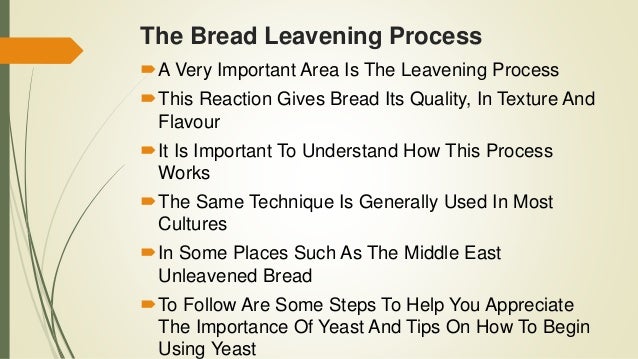 the bread leavening process and sourdough starter how yeast works in bread