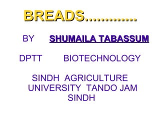 BREADS............. BY  SHUMAILA TABASSUM DPTT    BIOTECHNOLOGY SINDH  AGRICULTURE UNIVERSITY  TANDO JAM SINDH  